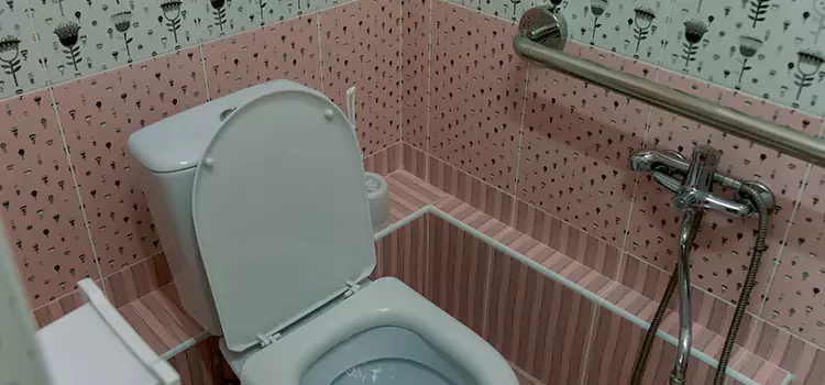 Meeting Diverse Needs With Accessible Restroom Solutions in Frankfort, IN